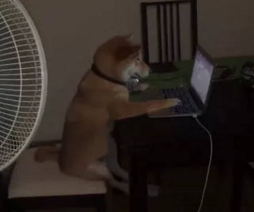 420d0edb3bcd4e0ebfeacb0dc051975f.jpeg