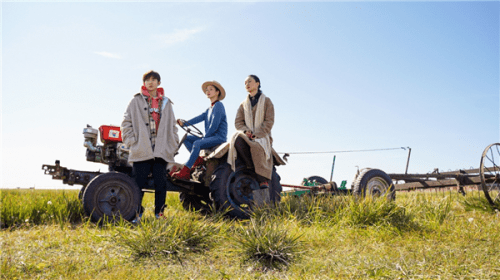 草原|《很高兴认识你》周迅阿雅王源化身婚礼策划师,打造浪漫草原求婚