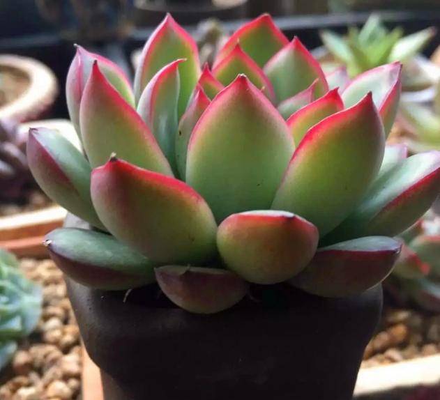b31a7ca62f0243a1b00797bb9ac2a7f8.jpeg
