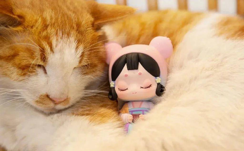 紫禁城|这个高枝是半个娱乐圈女星都想攀上的…