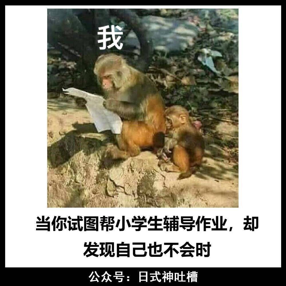 搞笑图片:人间真实!哈哈哈哈哈哈哈哈哈哈哈哈哈哈