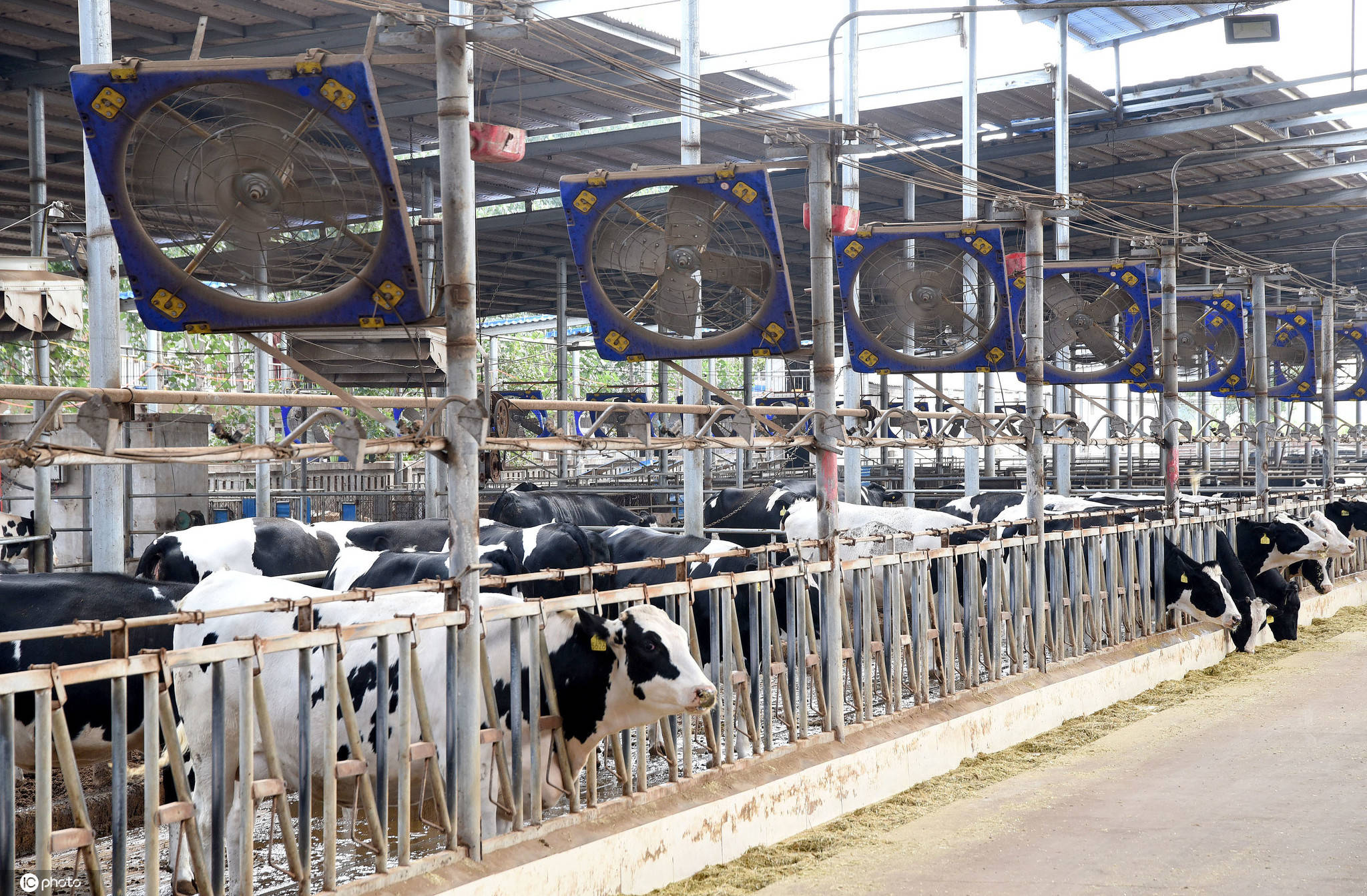 河北省GDP近年下滑_河北省县级市gdp排名(3)