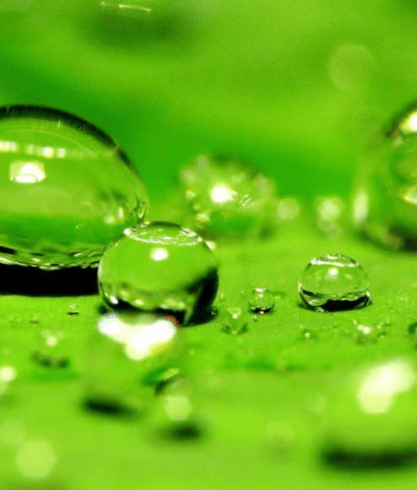 水生木相生是什么意思 abd6b966bee74c43893e78ed7e22a241.png