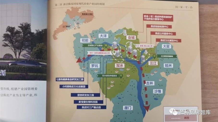 地标品牌丨新会陈皮:从产业到品牌的"新生"之路