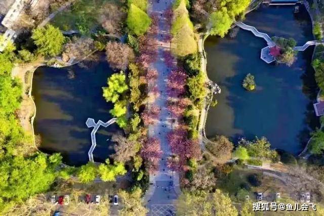 大学|安徽最牛大学，中国科学技术大学2020年本科录取分数线发布华东五校