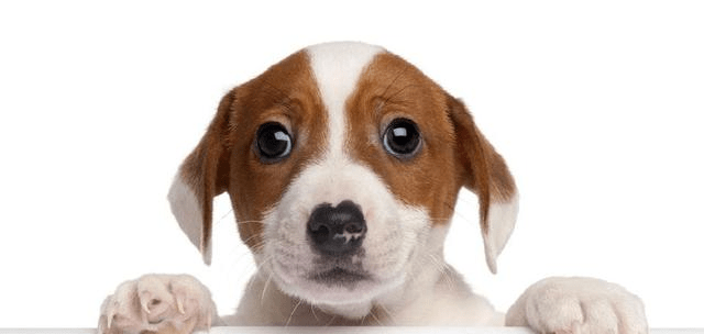 14a3a68c085e40d0be3960411235de00.png