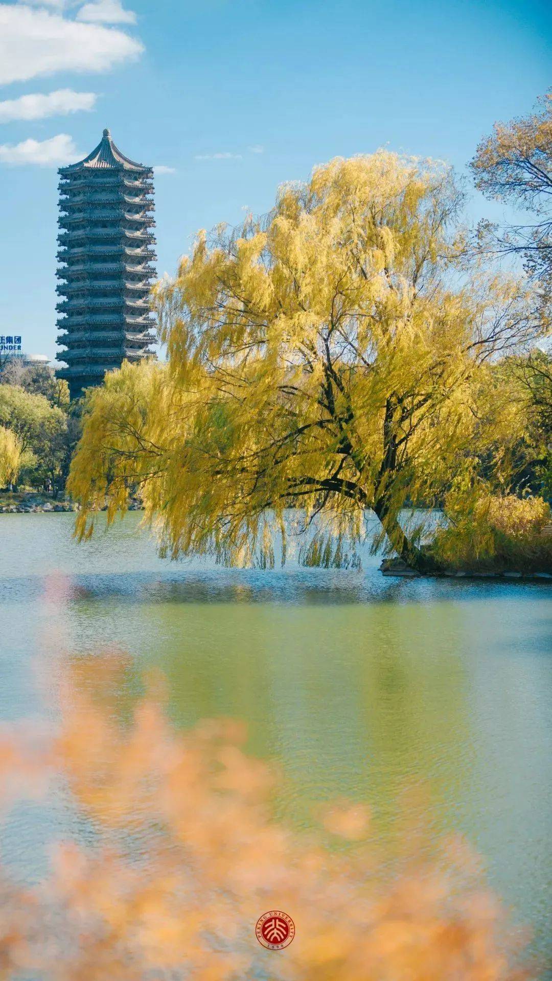 你的理想大学,终于被做成手机壁纸了!