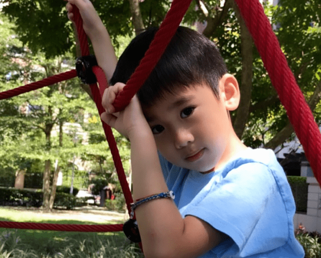 林志颖|俩娃身高遗传妈妈，颜值超高比哥哥像林志颖陈若仪晒双胞胎健身