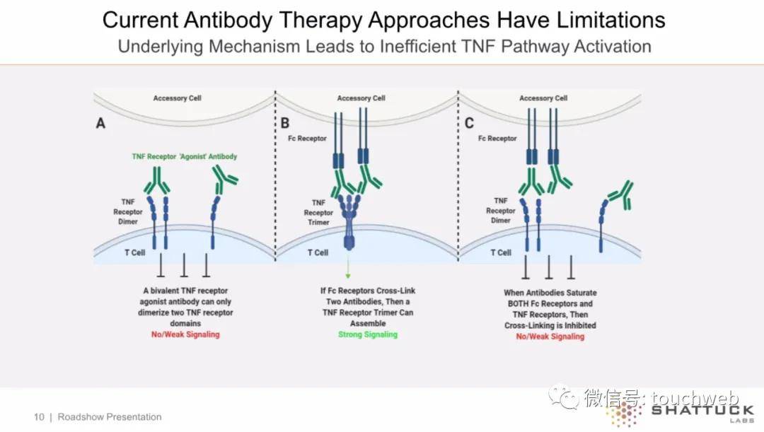 持股|原创Shattuck冲刺美股：拟募资1.5亿美元 路演PPT曝光
