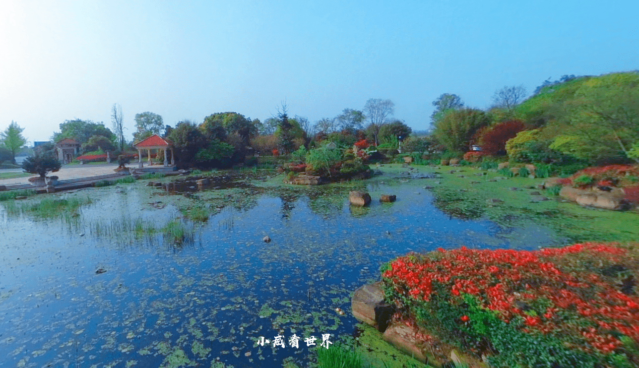 芜湖每年gdp_芜湖大司马(2)