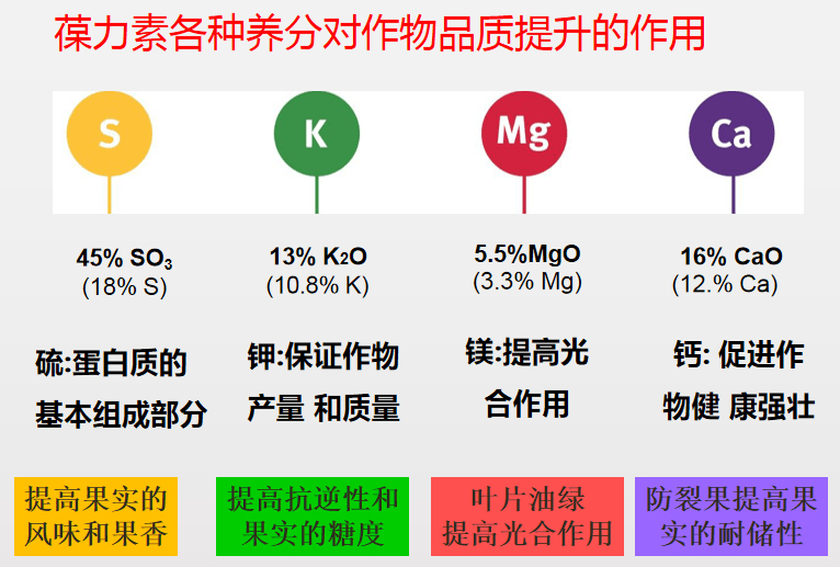 啥时候量血糖比较精准 dfef218222594291a72d926f6fbc33e9.png