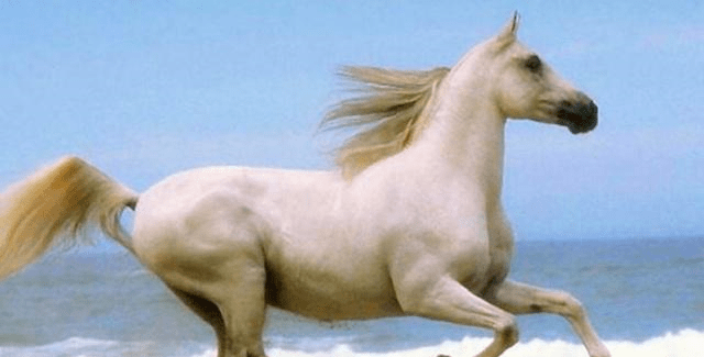 37ba2ddf6b7b428190ef2858d0dcec3a.png