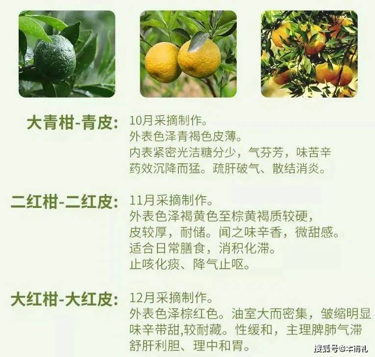 见闻记录|为什么说陈皮药用价值早已经闻名遐迩？