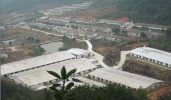 非一般的"猪场:不仅仅只是"广东省农产品出口示范基地"