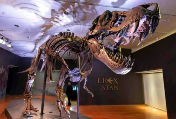 历史|霸王龙“史丹”拍出预估价格四倍