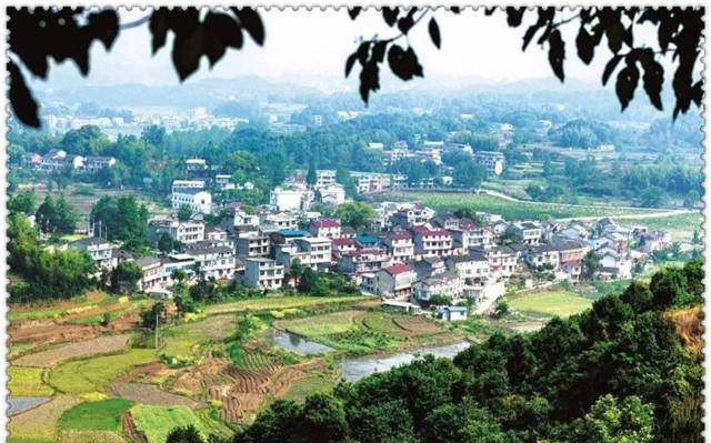 2021蕲春gdp_蕲春一中照片