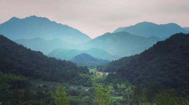江浙|妈耶~夏天怎么可以不去安吉？