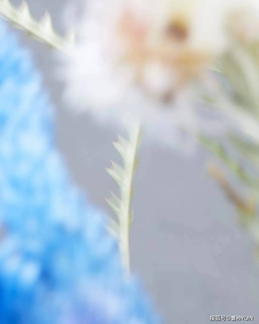 系列|秋天+日常生活碎片+小戏剧=日本设计师品牌MURRAL