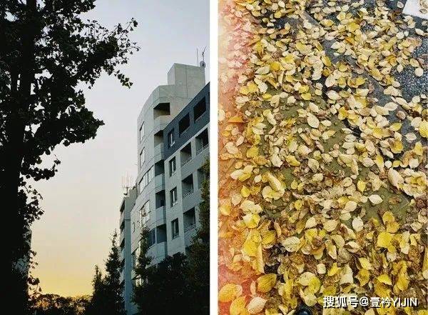 系列|秋天+日常生活碎片+小戏剧=日本设计师品牌MURRAL