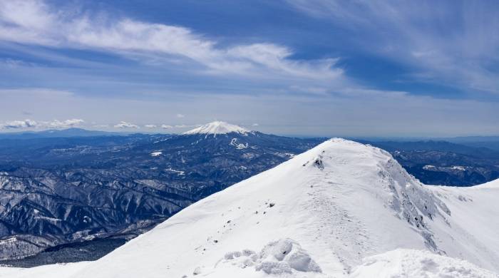 顾客上来就问价格比网上便宜不,家电门店怎么办?-家电圈官网