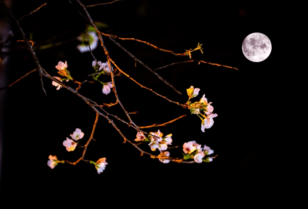 无人机|这些花式热搜你一定想不到！各高校为了C位出道“太拼了”