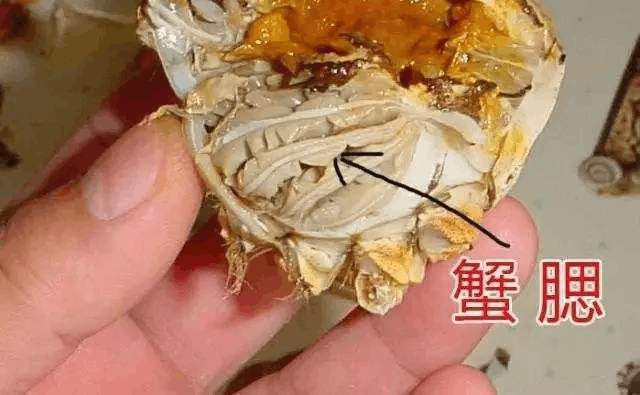 蟹腮上面藏有污物和寄生虫,进入人体容易引起腹泻等症状.