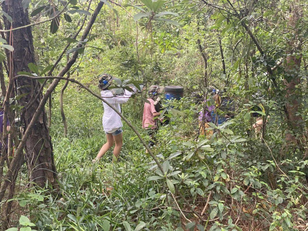 野战场集军事,运动,娱乐于一体,由树林,草地等构成3种不同风格的战场