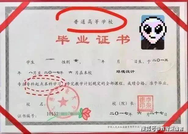 国家承认,教育部电子注册,属于第一学历