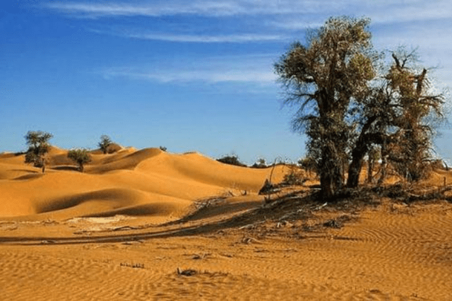 塔里木盆地位于哪个高原 e2ec0a2d3edb4d8094b1ba249de0acb6.png