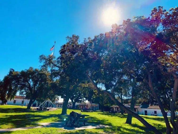 专业|疫情下的美国留学热门专业----公共卫生专业，你了解吗？