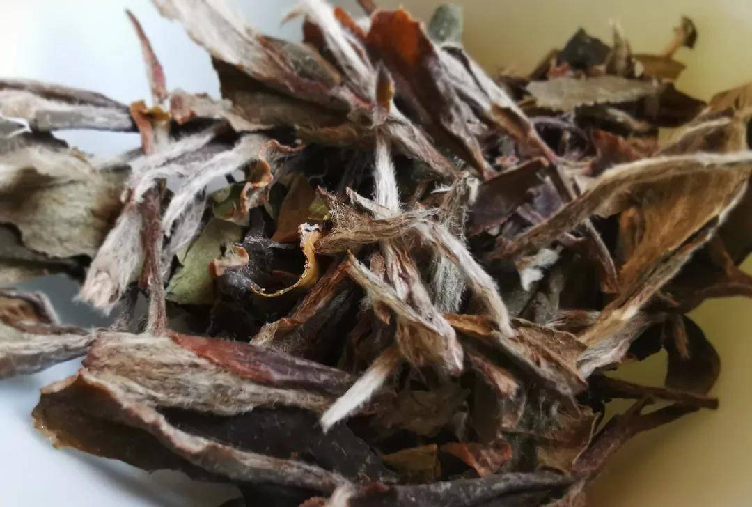 质量|这几件事不能疏忽大意!事关老白茶的质量!存老白茶