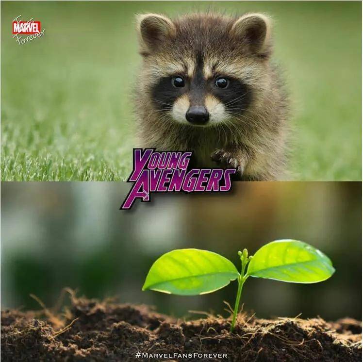 安全感|喵和鱼睡一起,是不是更有安全感?