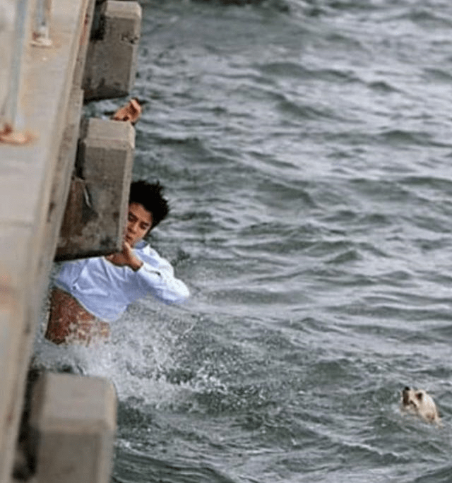 梦境解析,孕妇梦见在河边走看到几条小鱼跳入水中 梦境解析,孕妇梦见在河边走看到几条小鱼跳入水中