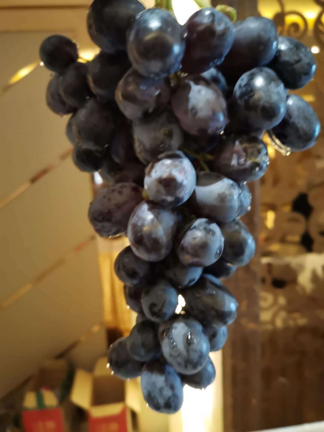 阳光玫瑰葡萄苗栽植技术 d9d071df36d94755a5bf1b7bb6ce7218.jpeg