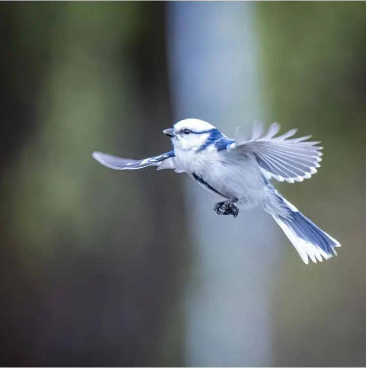 安全感|喵和鱼睡一起,是不是更有安全感?
