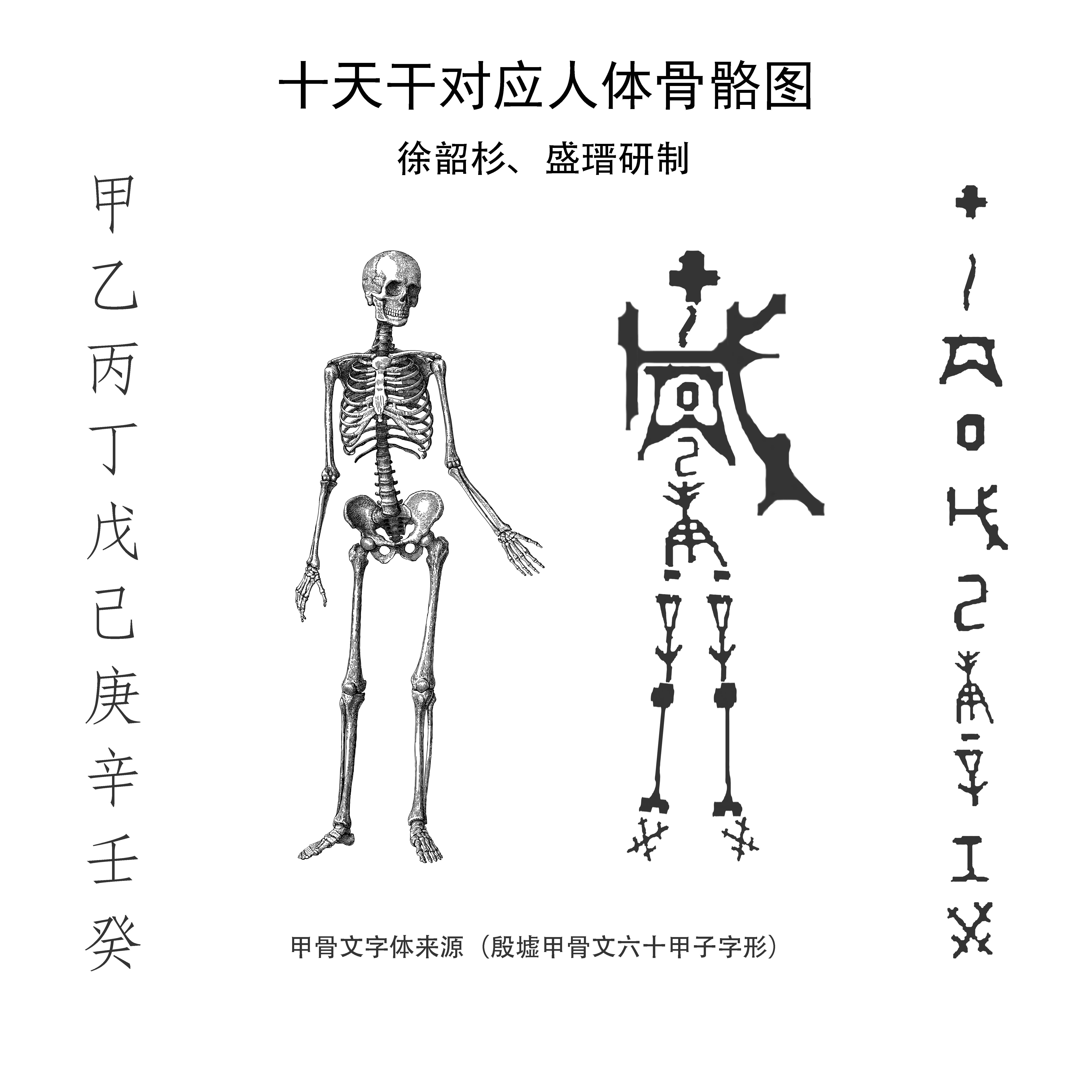 身甲打一成语是什么_这是什么成语看图(3)