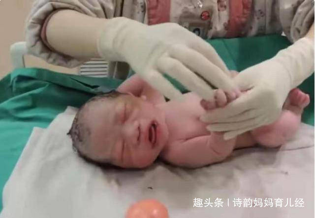 宝宝|被抱走的10分钟内都经历了啥？原来是去“洗剪吹”宝宝出生后