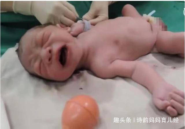 宝宝|被抱走的10分钟内都经历了啥？原来是去“洗剪吹”宝宝出生后