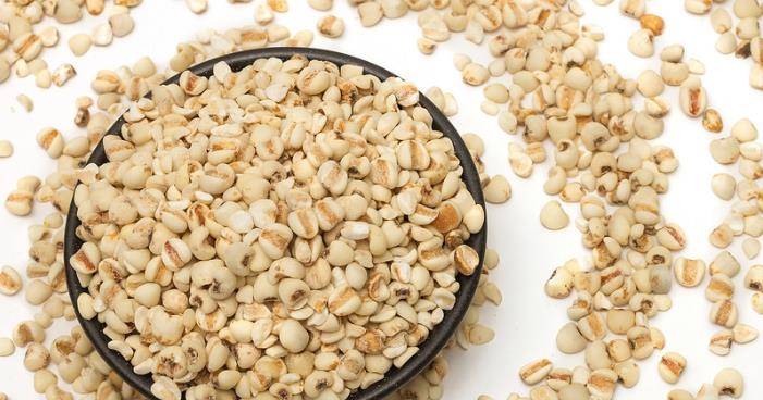 身体各器官最爱的食物 ff26c69193d04b85bb94e09767f58984.jpeg