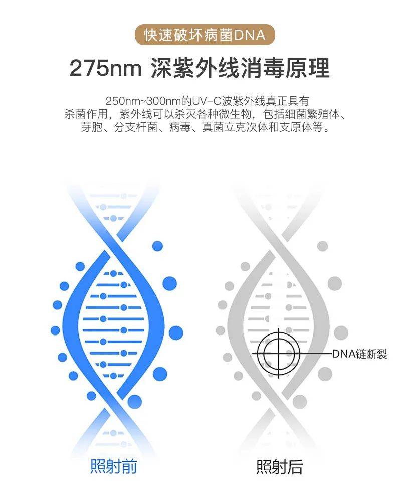 螨虫这么讨厌 有何妙招除去 一招教你搞定 紫外线
