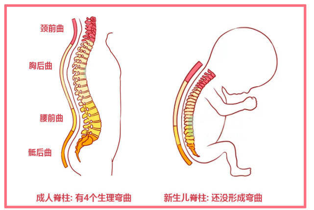 坏处|不要伤娃脊柱两个月宝宝总竖抱有哪些坏处？竖抱娃牢记2点关键
