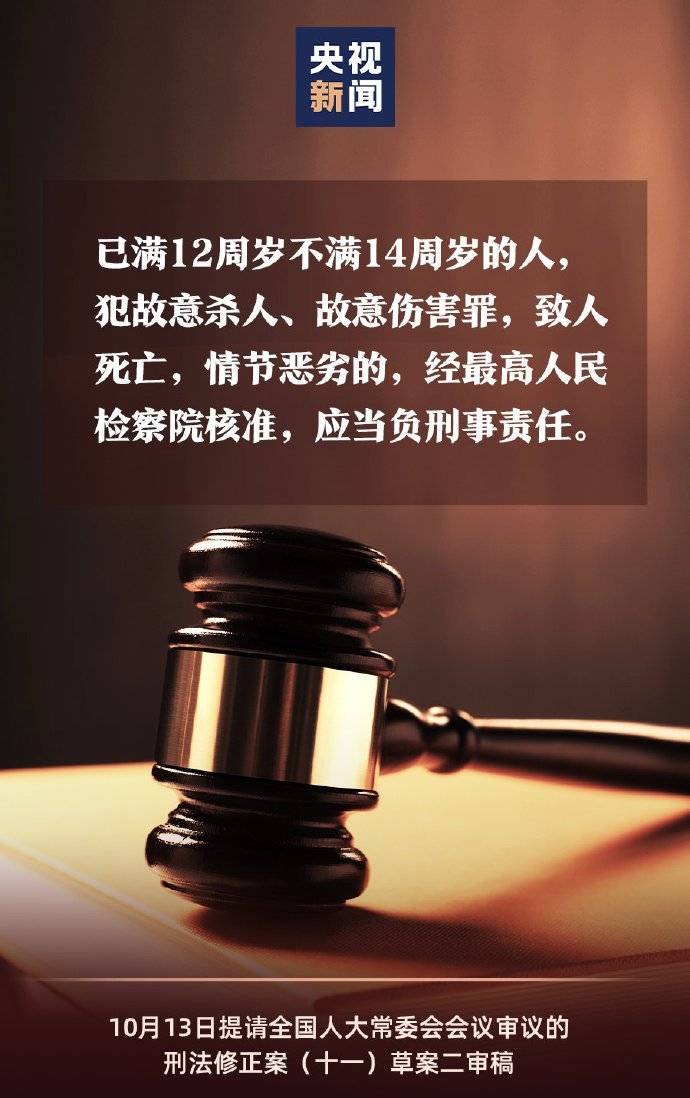 过了多少岁不用负法律责任 77fa2a815d2b4b9ba593fc5ebceab874.jpeg