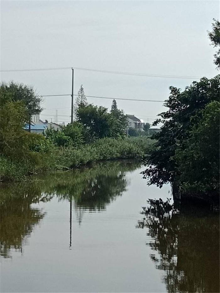 海安市洋蛮河街道韩洋村:全村总动员,打好蓝天,碧水,净土立体化保卫战