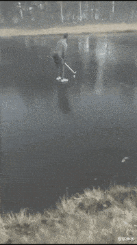 搞笑gif:老弟家里是犁地的吧!