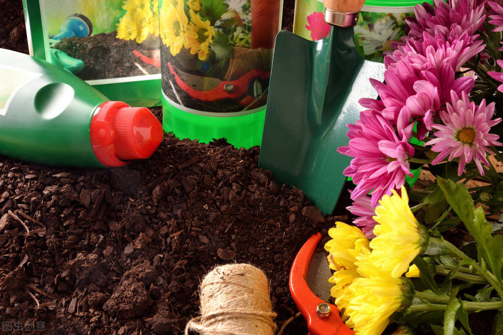 怎么养花不会枯萎 e29cb6ddf7ca4801be713451f162accb.jpeg