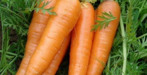 苹果加胡萝卜有什么功效 ee136e6856384915a80715cd216cfa44.jpeg