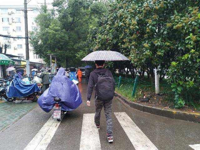 在武汉跨区上班不可怕,可怕的是下雨天上班,4小时都堵