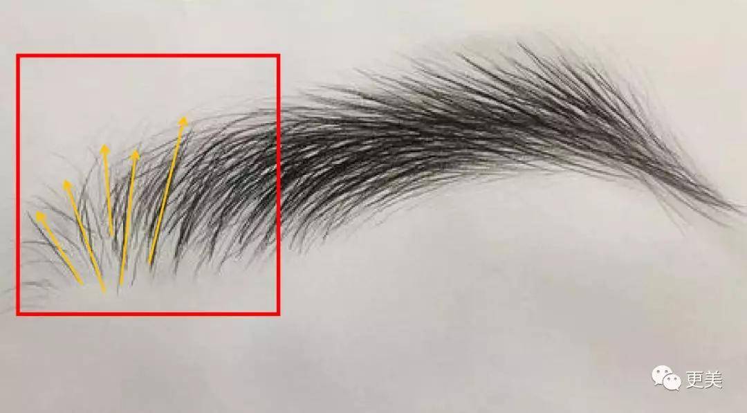 fa|侯佩岑忍了18天，终于用12个字打了昆凌的脸...