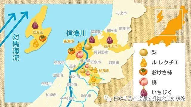 鱼米之乡的日本新潟 也是名副其实的水果王国 新潟县