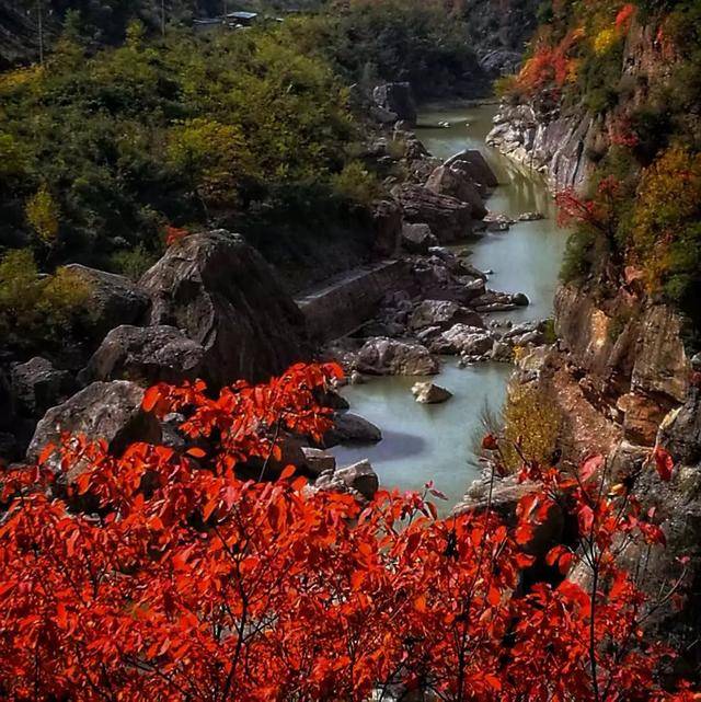 金秋时节 宝鸡凤县灵官峡 漫山红叶惹人醉